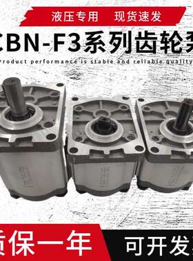 高压齿轮泵 CBN-F304 F306 F310 F314 F316 F320 F325 E 液压油泵