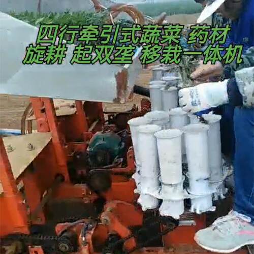 辣椒苗移苗器多行黄瓜苗定植机幼苗移栽器定制8行种辣椒苗机