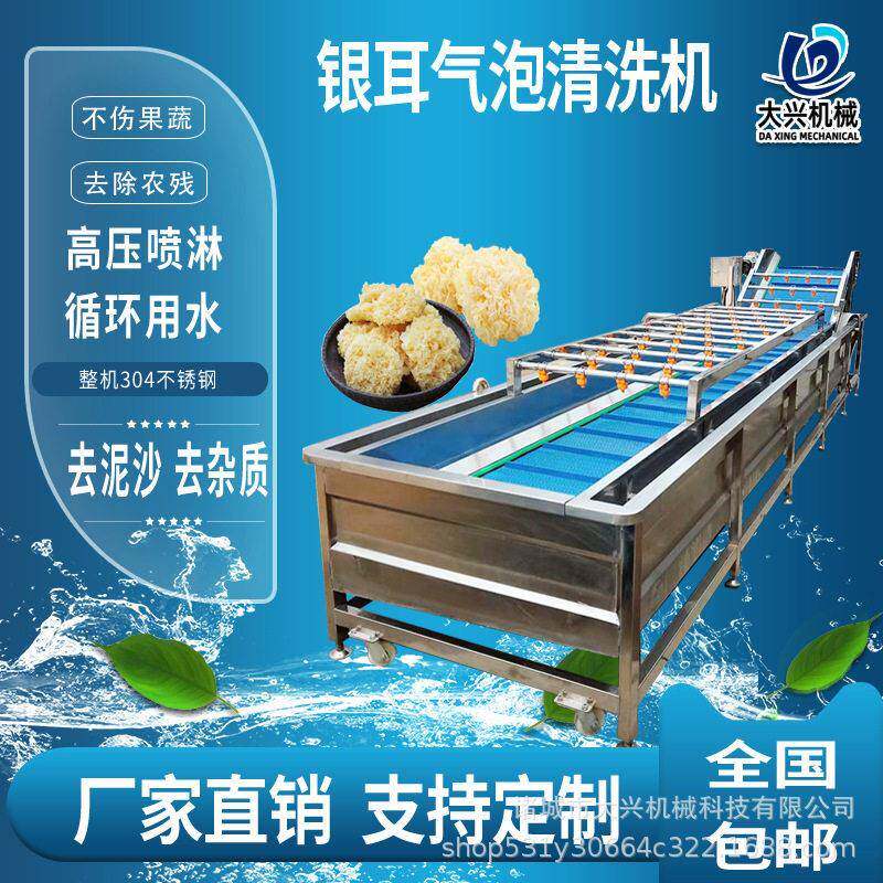 材鱼腥草龙胆草气泡清洗机车厘子杨梅气泡清洗机大型洗菜机
