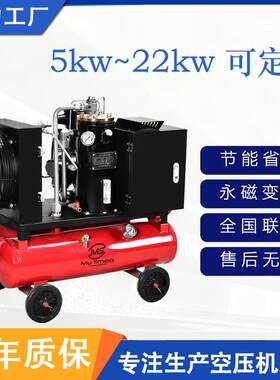 便捷式小型220v气泵空气压缩机喷漆木工汽修工业螺杆式变频空压机