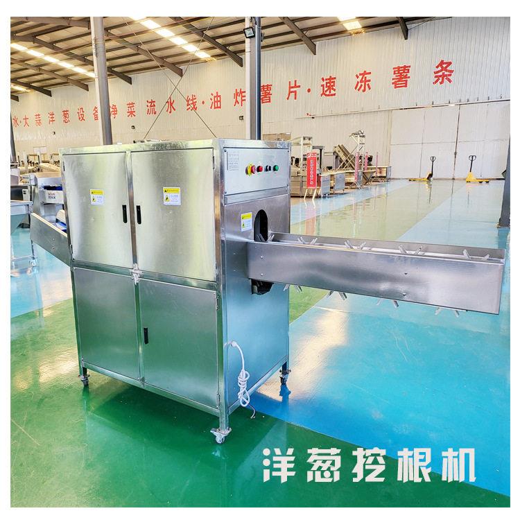 WG500型不锈钢洋葱挖根机全自动圆葱挖根设备尺寸标准挖洋葱根机