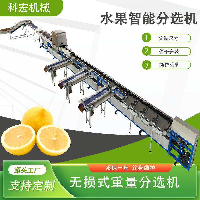 科宏机械水果直线智能分选机柠檬直线分选重量分拣