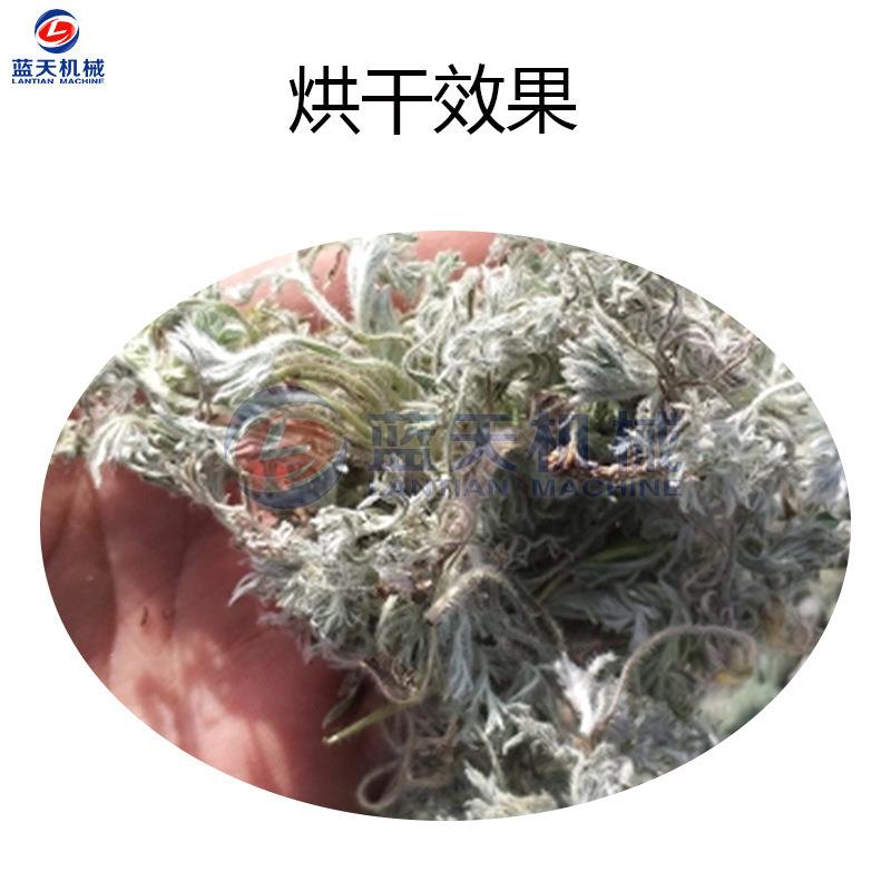 空气能白蒿烘干机 白艾蒿蓬蒿除湿烘干一体机 茵陈热风循环烘干箱