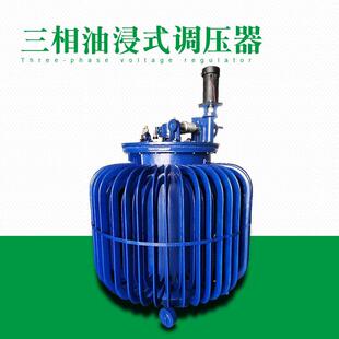 三相感应式调压TSJA-30KVA0-650V输出油浸式调压器纯铜线圈0-420