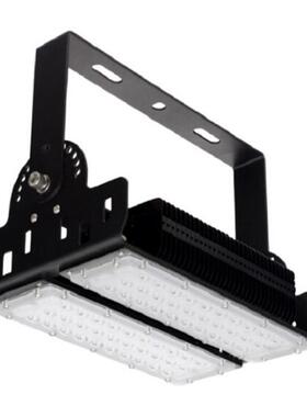 ZH-FL7-ZH100 AC220V/50Hz 100W 泛光灯