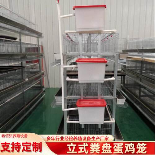 立式粪盘蛋鸡笼冷镀锌热镀锌多层自动清粪养鸡笼养殖场用蛋鸡笼