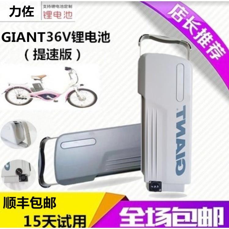 36V力佐捷安特特锂电池电瓶电动车锂电池48v12AH830860138700720