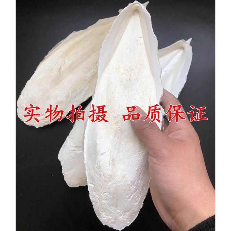 新货墨鱼骨鹦鹉补钙磨牙虎皮玄凤鸟类乌龟仓鼠补钙啃咬用品包邮