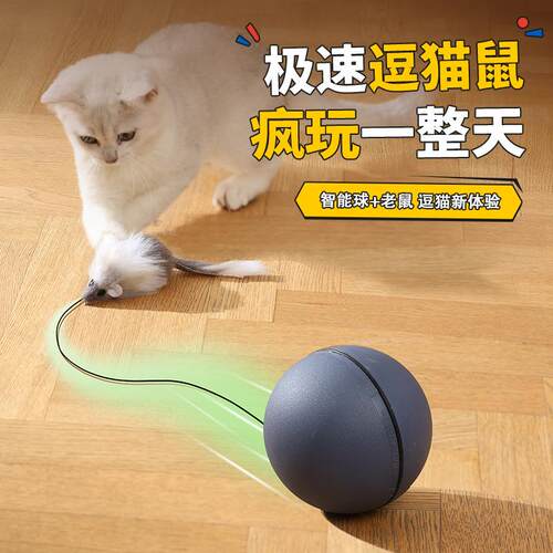 新款猫咪自嗨滚滚球宠物玩具自动滚动球逗猫球宠物用品亚马逊