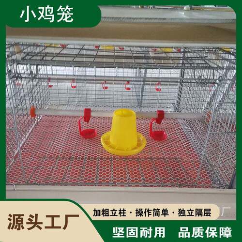 四层两门小鸡笼自动化养殖设备全套四层立式养鸡笼厂家供应