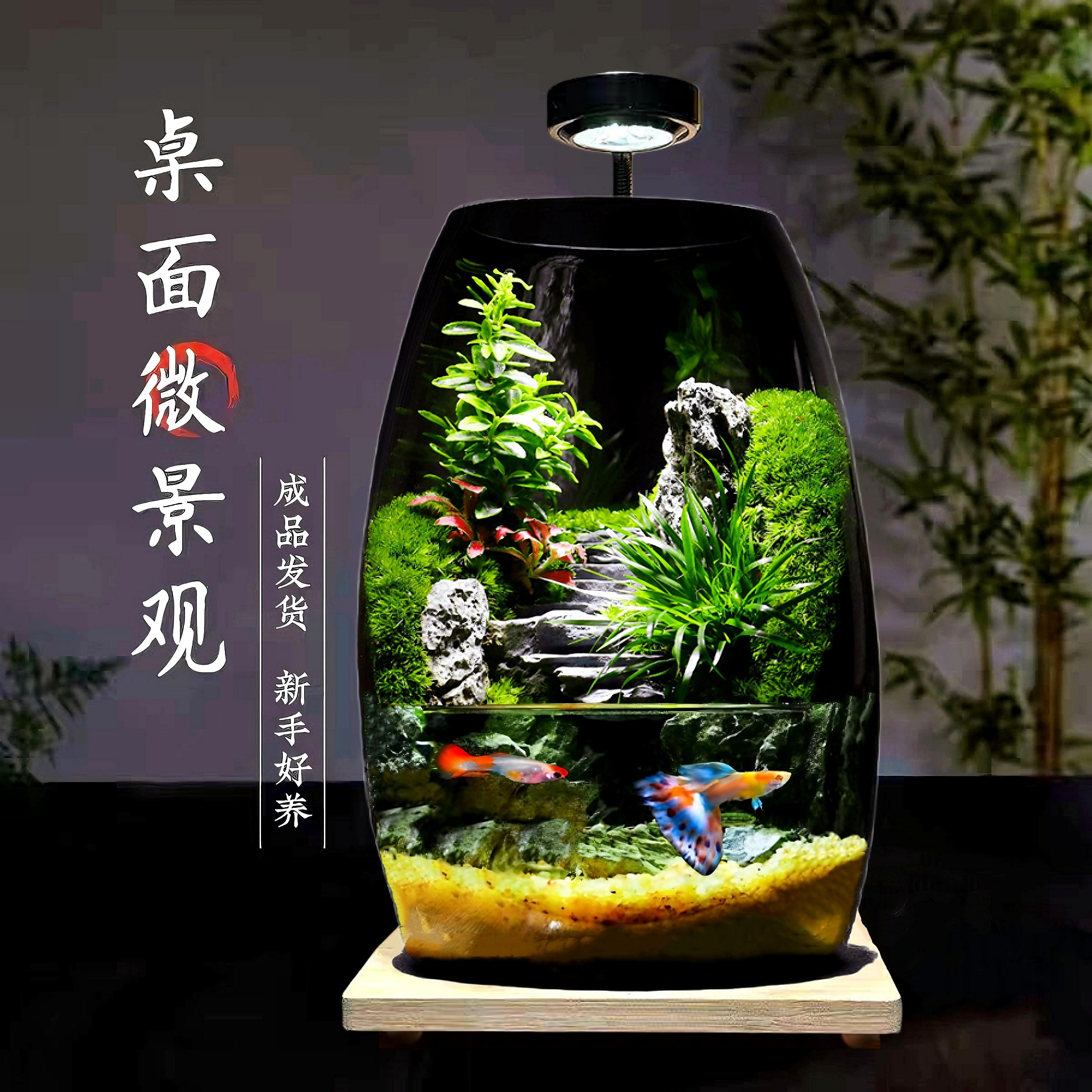 苔藓微景观生态瓶造景植物桌面小摆件可养鱼森林青苔雨林生态鱼缸