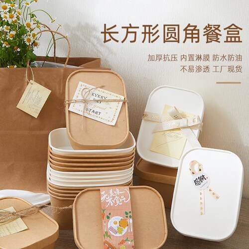 Kraft paper disposable square takeaway box, suitable for cam