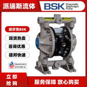 气动bp06pp耐腐蚀 b泵 pbb1bskptt4隔膜p991污水处理 bbp15pp