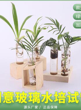 玻璃木质水培展示架桌面摆台装饰绿萝植物玻璃水培试管花木架