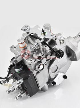 22100-5D180改装泵总成096500-3081VE4/10E2300RND308