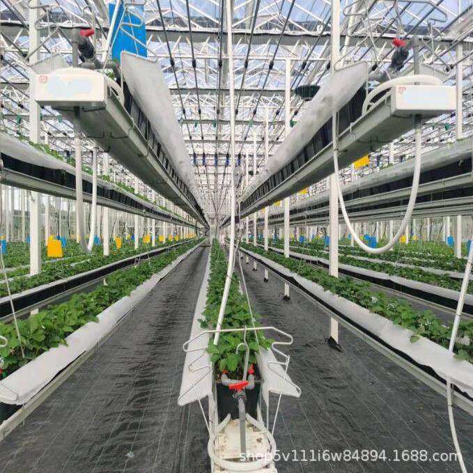 无土栽培种植设备立体水培栽培架双面墙链条槽草莓立体种植