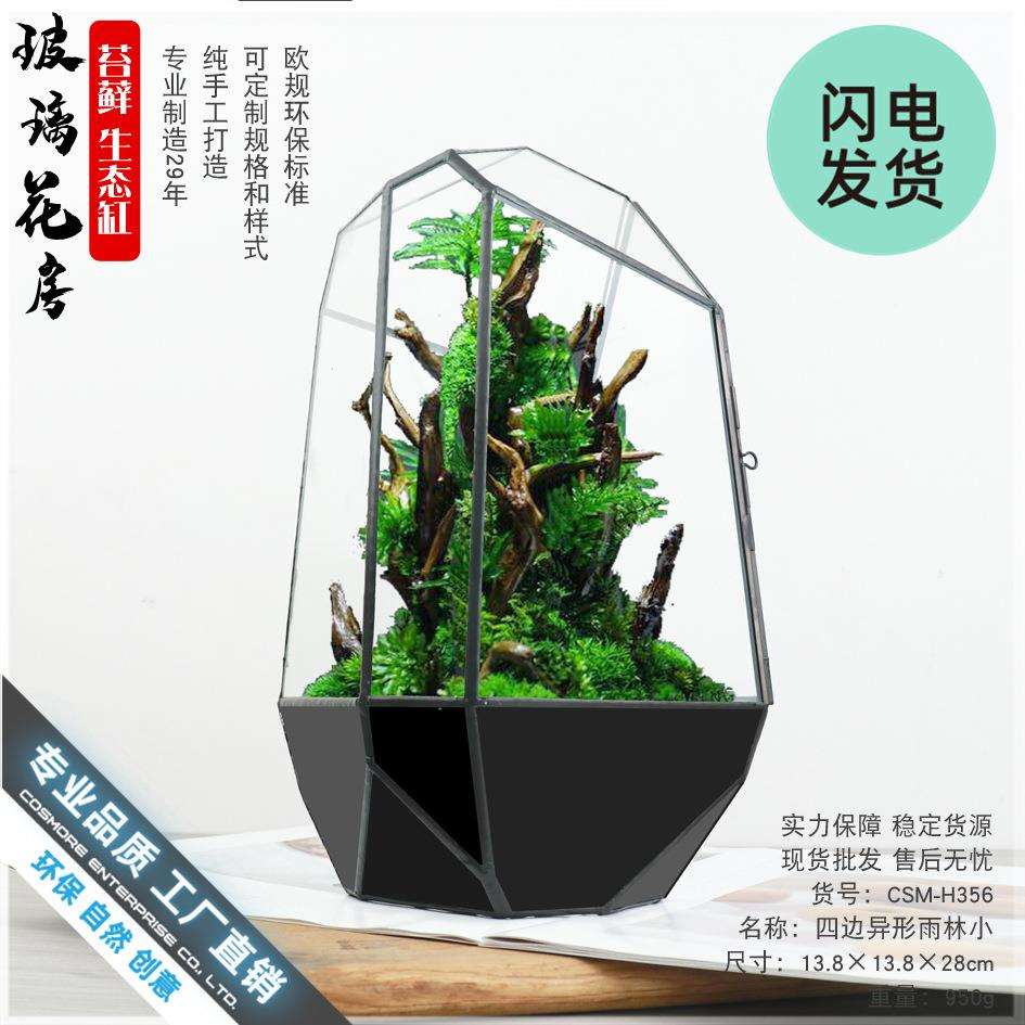 雨林生态缸苔藓微缩景观几何玻璃小花房创意家居软装摆件造景花盆
