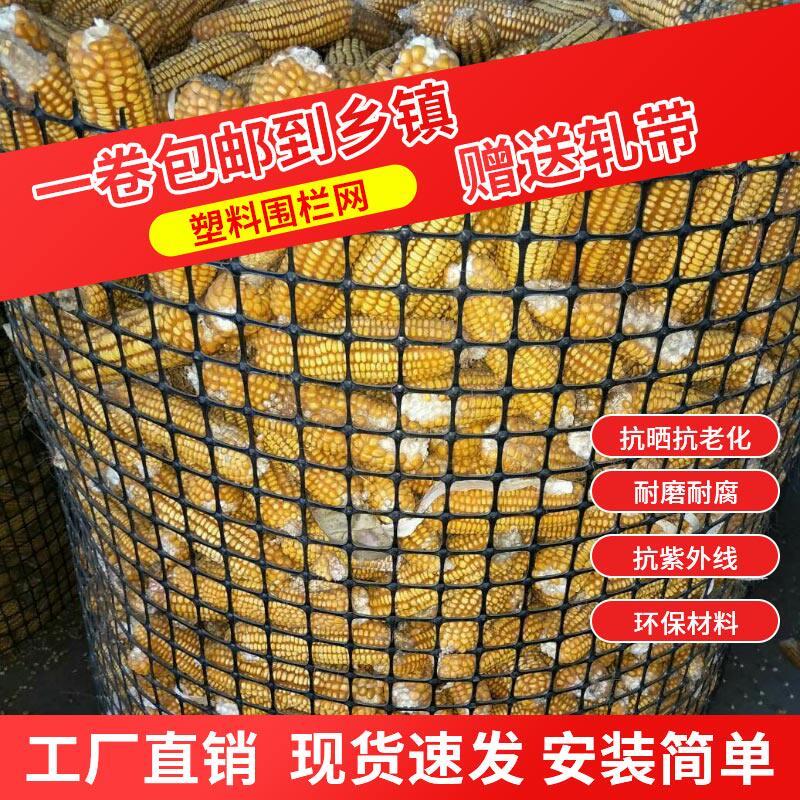 2厘米小孔围栏网塑胶网养殖网养鸡防护网圈玉米围栏网隔离漏粪网