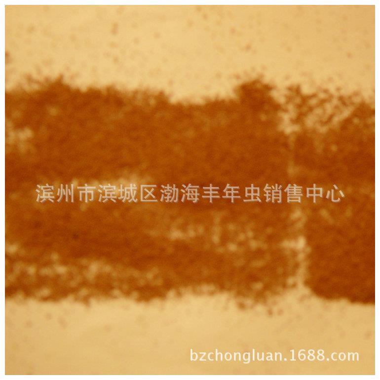 新款直销去壳大红超细免孵化小水分脱壳丰年虫卵 无水不结块小鱼