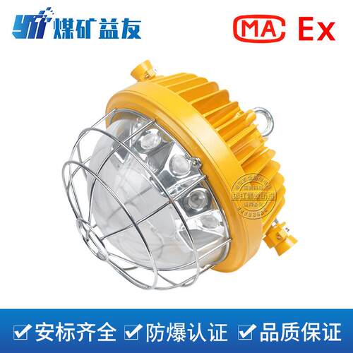 DGS45/127L(A)矿用隔爆型LED巷道灯煤矿照明照明灯防爆灯