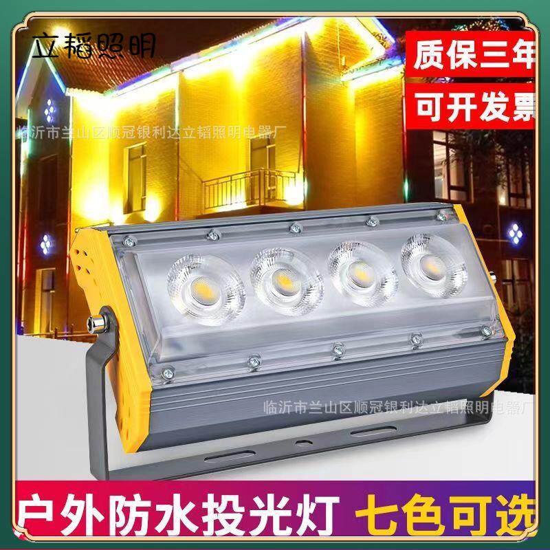 防水聚光照树灯50w园林户外亮化射树灯景观灯led一束光投光灯户外