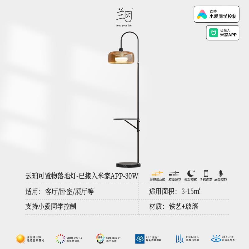 高档因级琥珀落地灯置物架色兰一体现代客厅沙发边轻奢高感床头钓