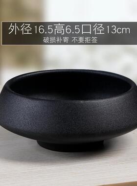 文竹菖蒲陶瓷花盆造景客厅花瓶