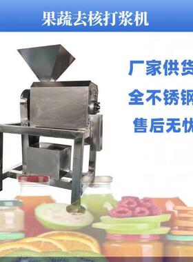 双道果蔬打浆机 商用不锈钢香蕉枇杷打浆设备 牛油果去核打浆机