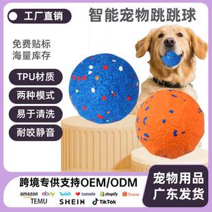 跨境新品宠物玩具球ETPU智能训狗球狗狗宠物球高弹力耐咬磨牙狗球