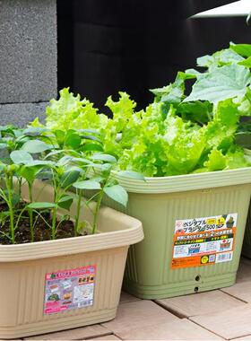 长方形丽思种菜花盆花盆花盆花瓶