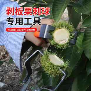 剥板栗刺球神器栗子外壳去皮毛夹脱蓬器开口超省力拨板栗开壳工具