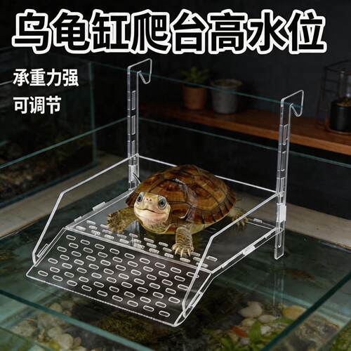 乌龟晒台压克力深水晒背爬台壁挂式透明造景爬梯高水位休息浮台
