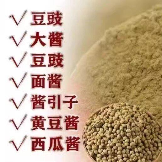 酱油曲精东黄大酱发酵菌酱品豆酱曲做酱酿造酱菌粉酵母北自制豆豉
