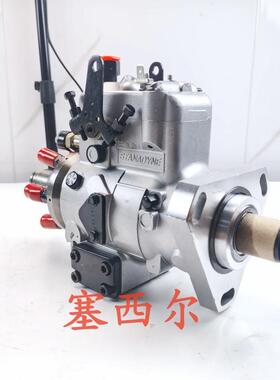 优质供应STANADYNE 喷油泵 3976838 STANADYNE 喷油泵总成 397683