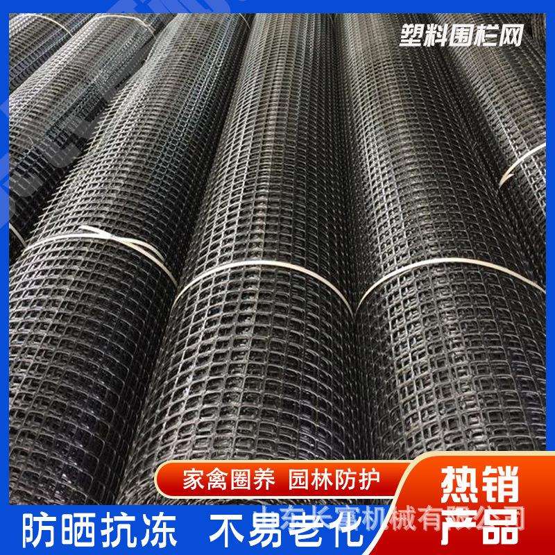 塑料养殖网小孔网养鸡鸭围网户外防护网围栏网黑色网土工格栅
