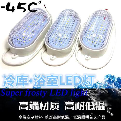 24v船用照明灯12v冷藏库LED灯110v耐低温灯泡36v防水防爆三防灯渔