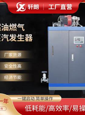 燃油燃气蒸汽发生器液化气蒸汽锅炉柴油蒸汽机食品加工混凝土养护