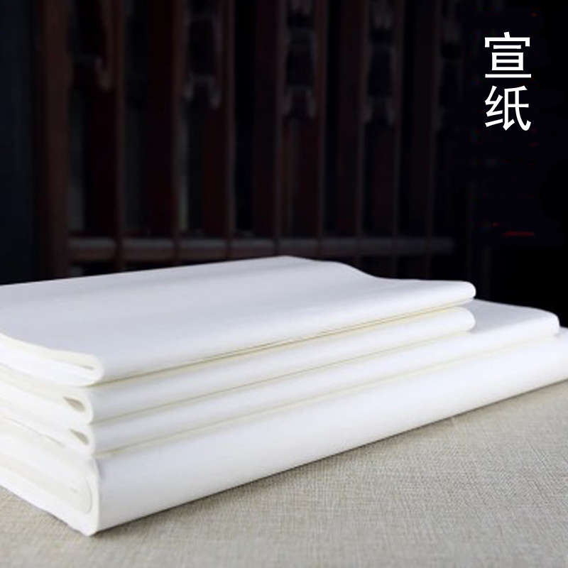 加厚宣纸书法专用纸作品纸国画书法创作生宣纸工笔画初学者专用