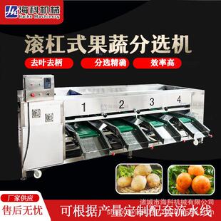 选果机果蔬分选机海棠芋头山楂梅子橘子柿子分级机樱桃筛选分级