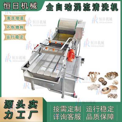 香菇涡流清洗机食用菌全自动漩流清洗机豆芽涡流清洗设备净菜加工