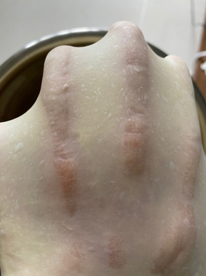 暗访!凯伍德厨师机怎么样?猜大家是怎么反馈的呢?