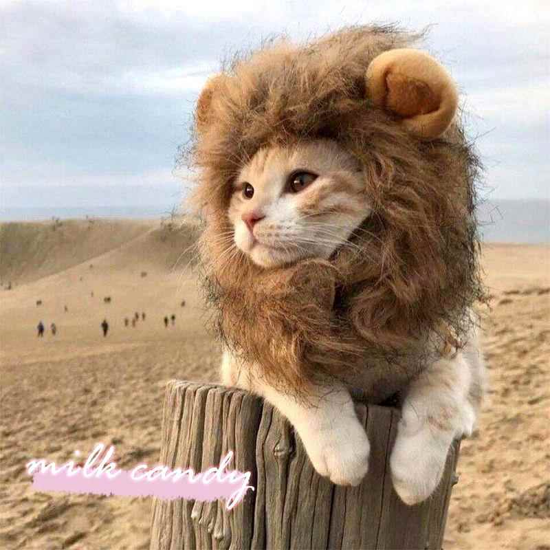 猫狮子头饰兔子耳朵小狗狗帽子宠物可爱有趣的配件头饰装扮