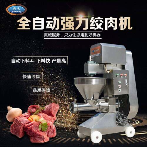 304不锈钢冻肉绞肉机鸡鸭绞肉机鸡架骨碎骨机甲鱼绞肉机绞芋泥机
