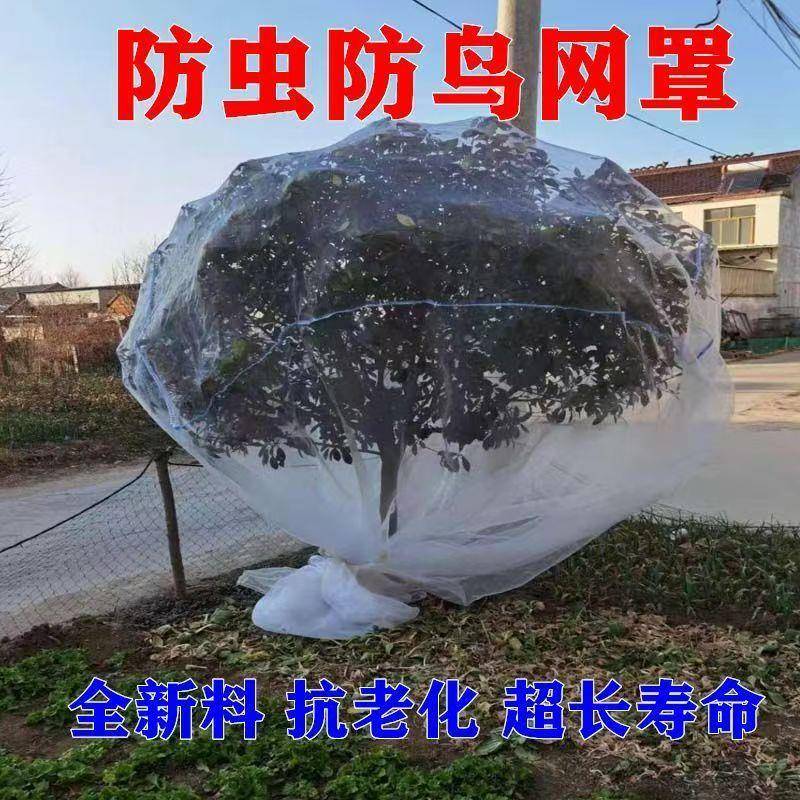 果树防虫网罩杨梅桃树防虫袋 大棚蔬菜防虫网 透气透光防鸟通用