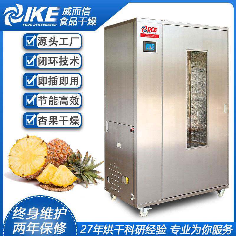 菠萝凤梨水果热带水果烘干机热风干燥设备家用商用干燥食品烘箱
