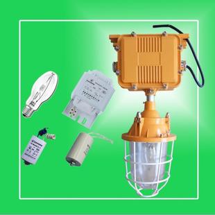 BAD防爆金卤灯隔爆型防爆金属卤化物照明灯 150W防爆厂房壁灯