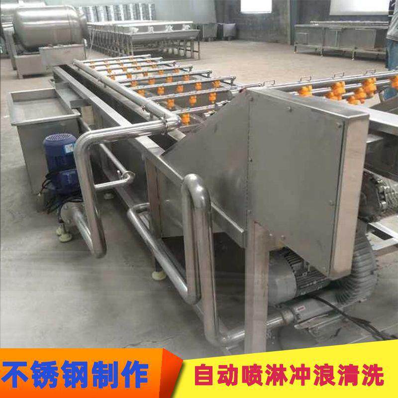 桑叶地瓜叶清洗机桑芽菜全自动气泡喷淋清洗机菊叶石榴清洗机