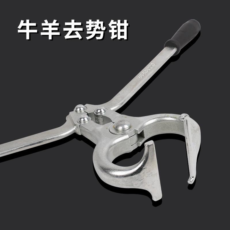 兽用去势钳阉羊割器钳猪牛羊用不锈钢去势钳无血XSZ去势煽钳夹钳