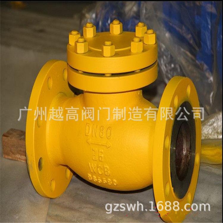 H41F-16C 氨用升降式止回阀 天然气氨用止回阀 立式氨用止回阀