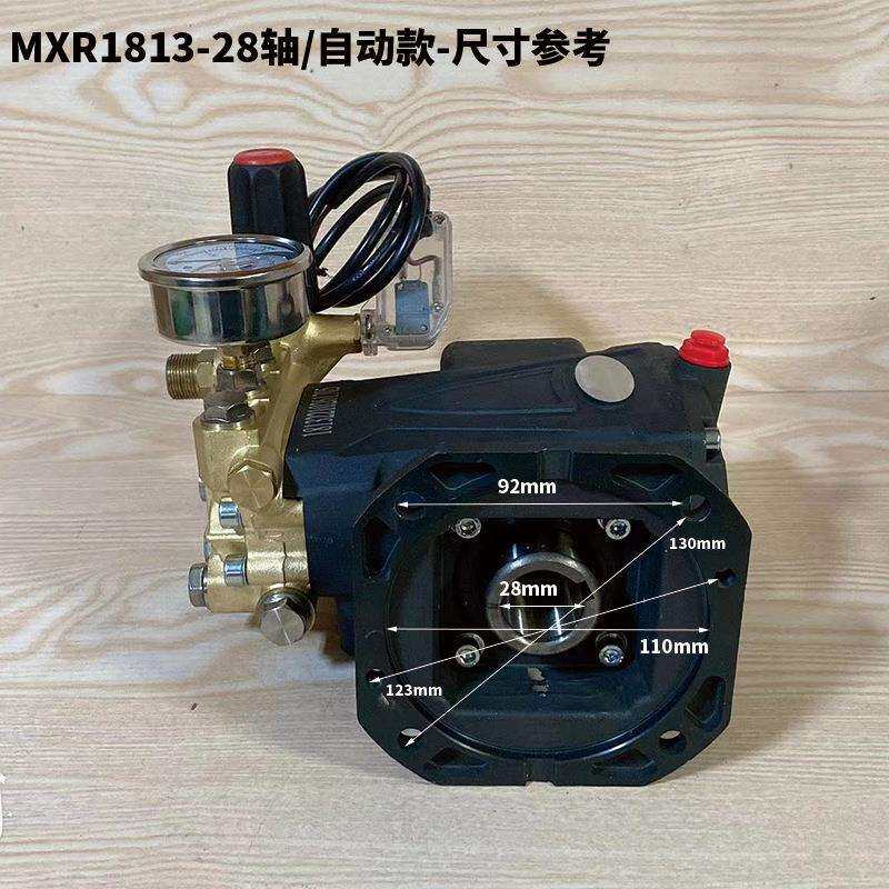 雷格美械MX-R1813自动款28轴高压清洗机配件泵头喷淋造雾洗车机头